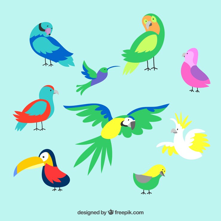 Vetor grátis mão desenhada coleção de aves exóticas