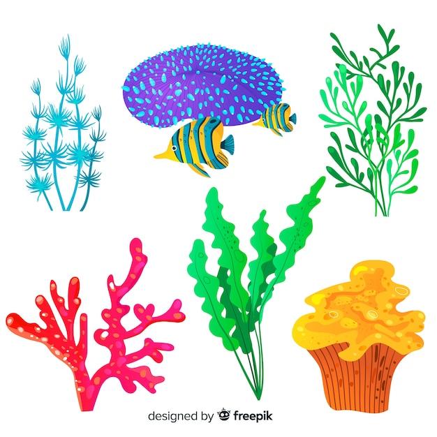 Vetor grátis mão desenhada coral com coleção de peixes