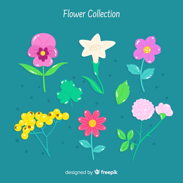 Mão desenhada flores e folhas coleção
