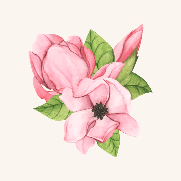 Mão desenhada pires flor de magnólia isolada