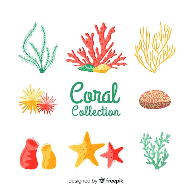 Vetor grátis mão, desenhado, coral, cobrança