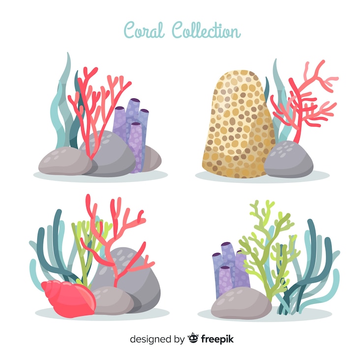 Vetor grátis mão, desenhado, coral, cobrança