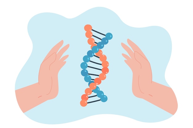 Vetor grátis mãos segurando uma ilustração em vetor plana modelo de dna. espiral dupla ou macromolécula sobre fundo azul. ciência, tecnologia, laboratório, futuro, evolução, genoma, conceito de microbiologia