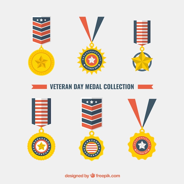 Medalhas do dia dos veteranos planos