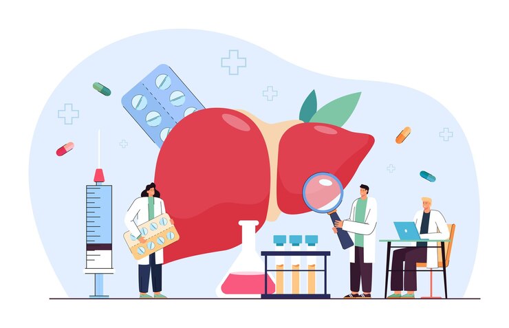 Vetor grátis médicos de desenhos animados minúsculos examinando o fígado do paciente. tratamento de hepatite, ilustração vetorial plana de conscientização do câncer. doença, saúde, conceito de cuidados para banner, design de site ou página de destino
