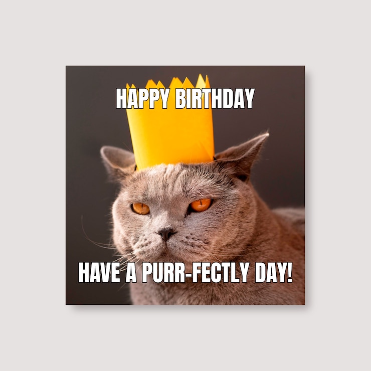 Vetor grátis meme quadrado de gato de aniversário simples