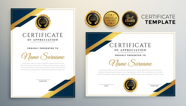 Modelo de certificado de diploma profissional em estilo premium