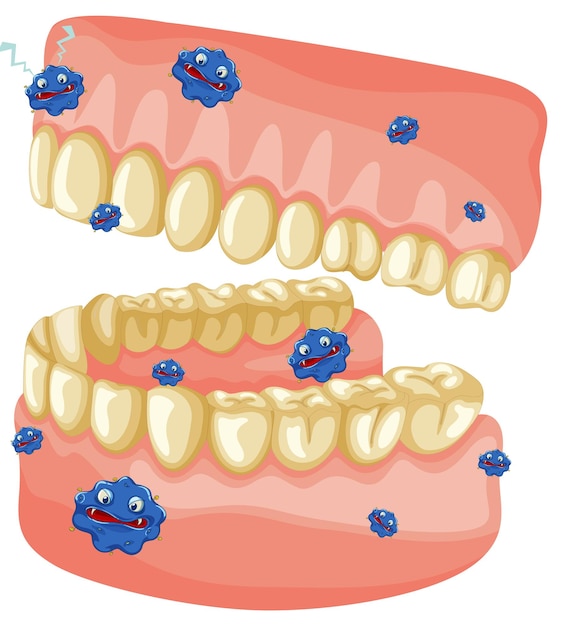 Página 3  Maxilar Mandibula Imagens – Download Grátis no Freepik