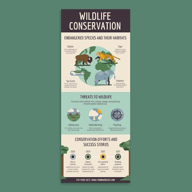 Modelo de infografia ambiental