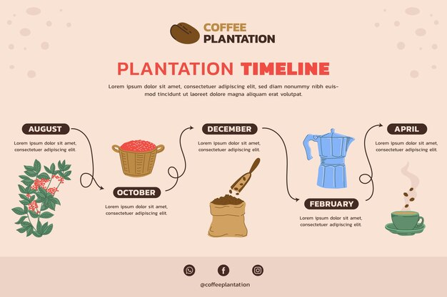 Modelo de infográfico de plantação de café desenhado à mão