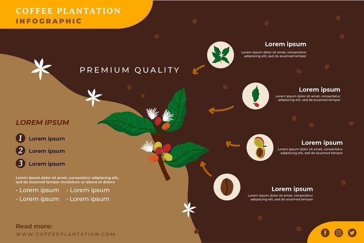Vetor grátis modelo de infográfico de plantação de café desenhado à mão