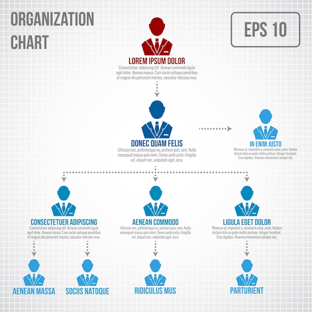 Modelo de infográfico organograma