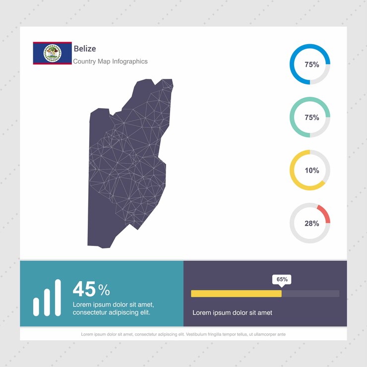 Vetor grátis modelo de infográficos de mapa e bandeira de belize