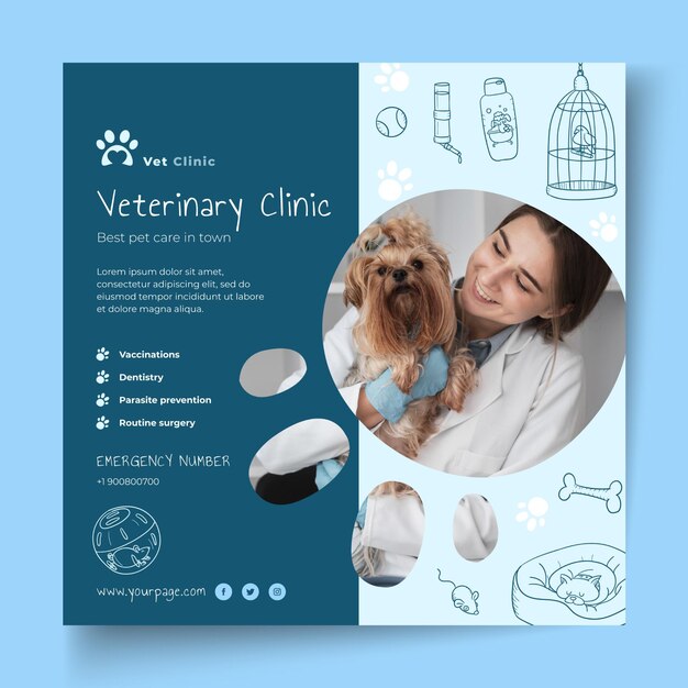 Modelo de panfleto veterinário com foto