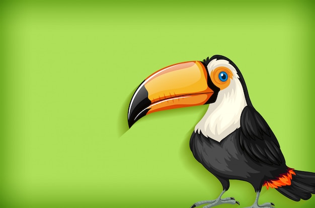 Vetor grátis modelo de plano de fundo com cor lisa e pássaro tucano