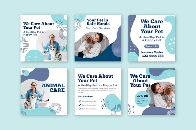 Modelo de postagens veterinárias do instagram