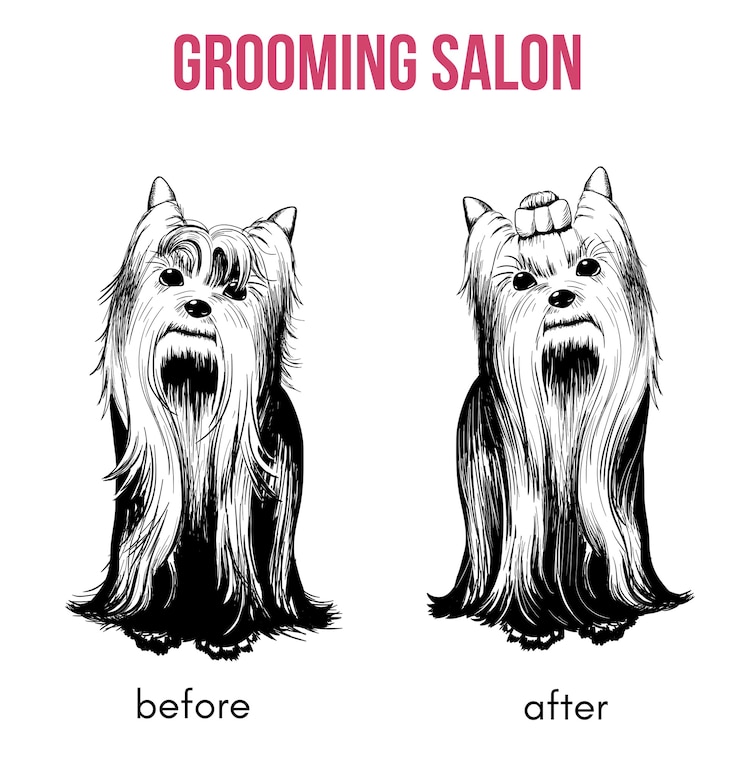 Vetor grátis modelo de salão de beleza para cães