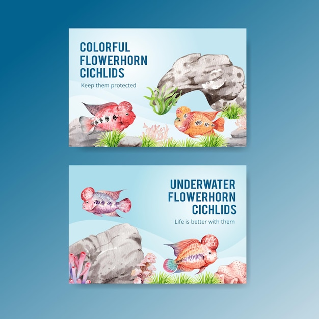 Vetor grátis modelo do facebook com conceito de peixe ciclídeo flowerhorn, estilo aquarela