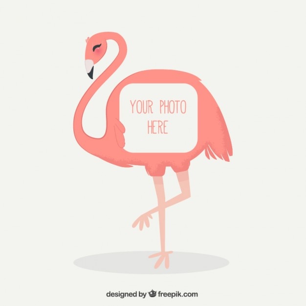 Vetor grátis moldura flamingo desenhada mão