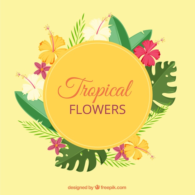 Moldura flor tropical em design plano