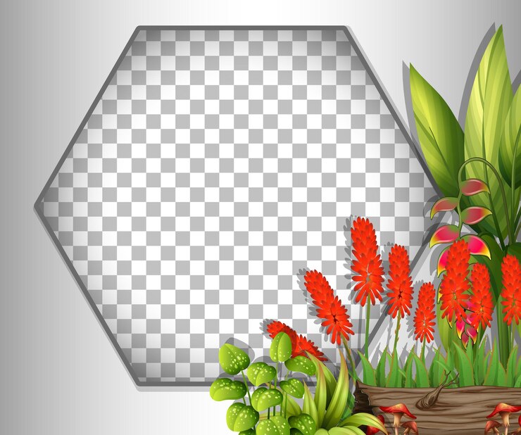 Vetor grátis moldura hexagonal transparente com modelo de flores e folhas vermelhas