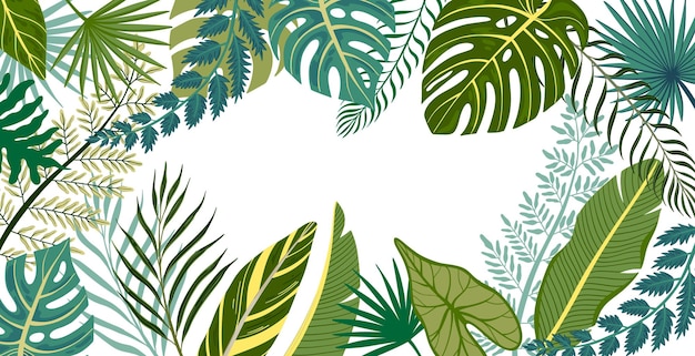 Moldura plana com folhas verdes de várias árvores tropicais exóticas e plantas em ilustração vetorial de fundo branco