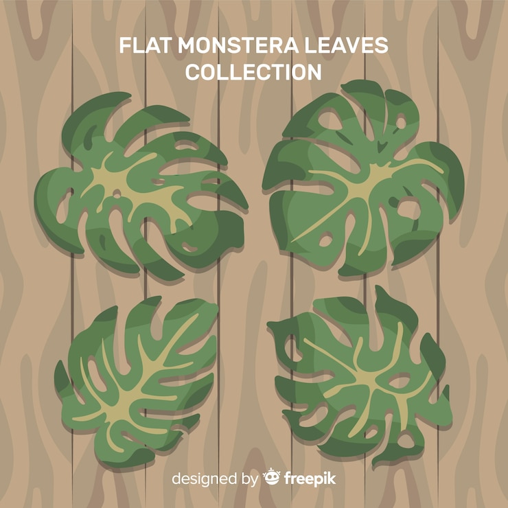 Vetor grátis monstera deixa coleção
