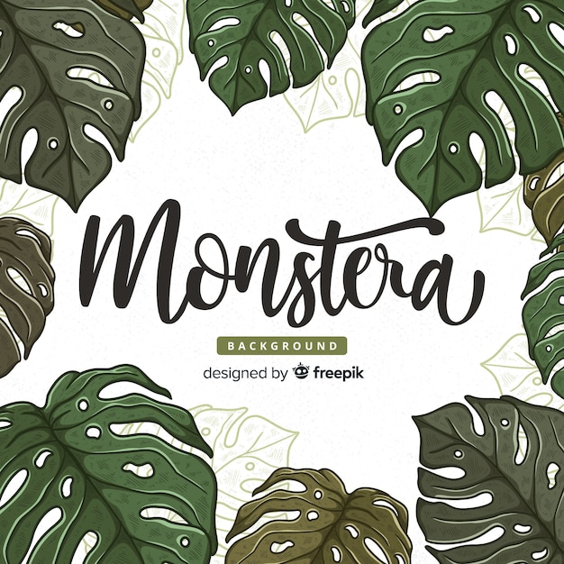 Vetor grátis monstera deixa o fundo