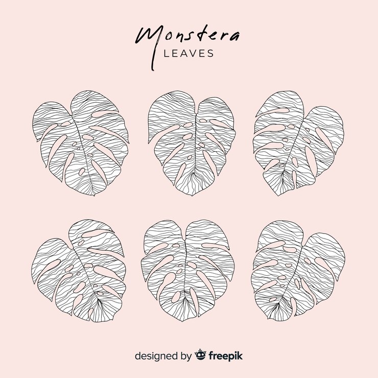 Vetor grátis monstera incolor deixa pacote