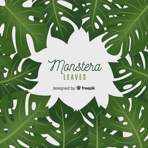 Monstera plana deixa o fundo do quadro