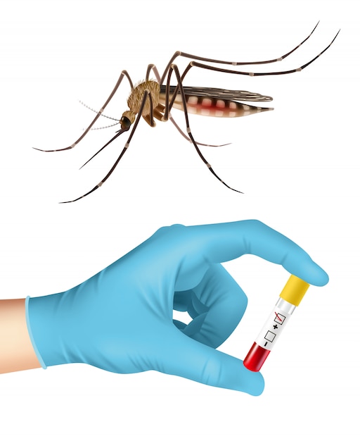 Vetor grátis mosquito e exame de sangue