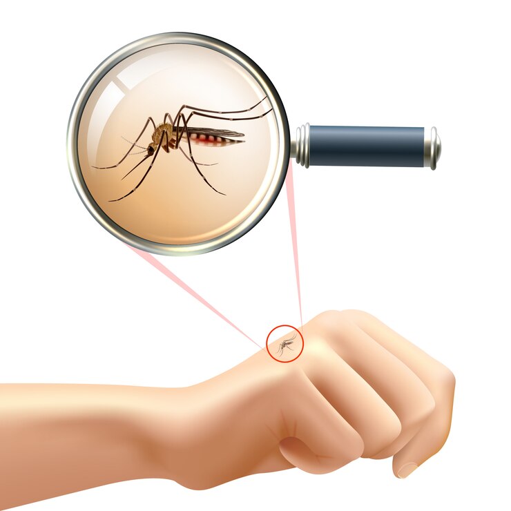 Vetor grátis mosquito na mão