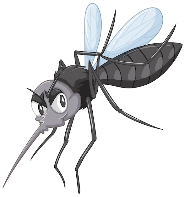 mosquito selvagem preto