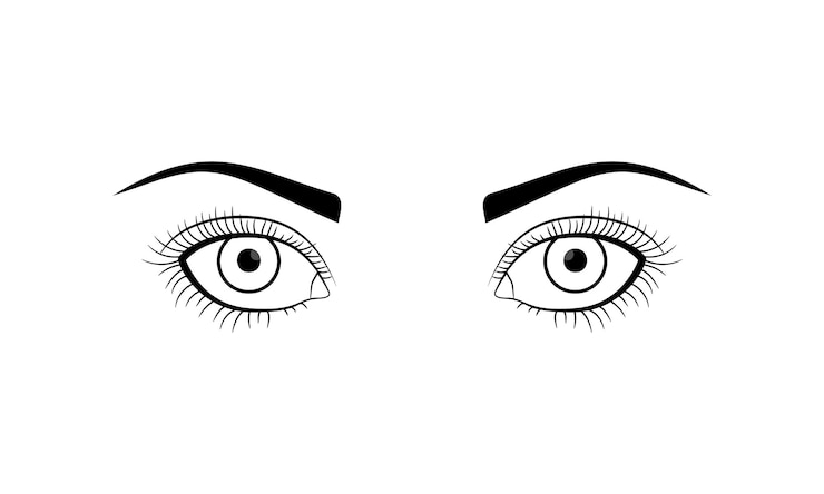 Vetor grátis mulher com olhos abertos em estilo de contorno mulher com pálpebras e sobrancelhas desenhadas à mão vector