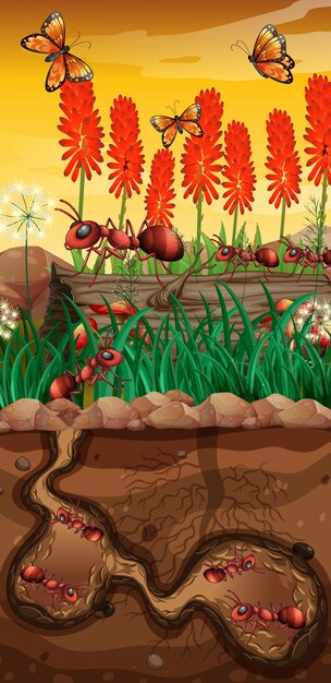Natureza com borboletas e formigas no jardim