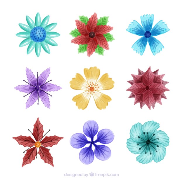 Nove flores de inverno de aquarela