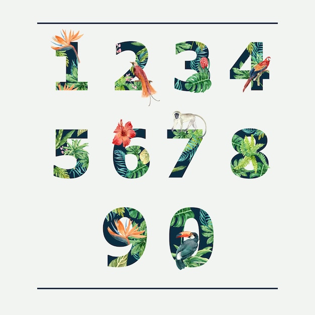Vetor grátis numere o verão tipográfico do alfabeto tropical com folhagem das plantas