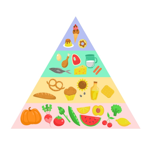 Vetor grátis nutrição da pirâmide alimentar