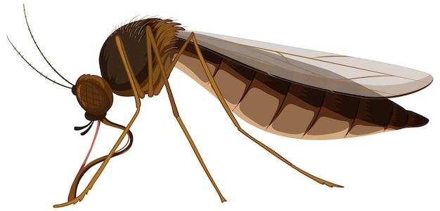 O mosquito que causa a malária Uma ilustração de desenho animado marrom