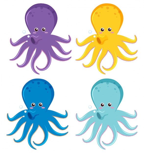 Vetor grátis octopus em quatro cores diferentes