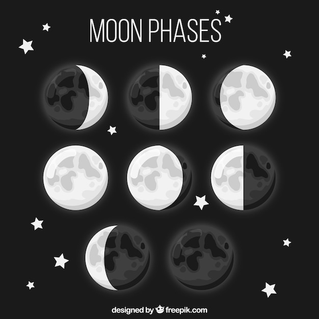 Vetor grátis oito fases da lua em design plano