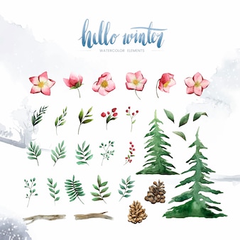 Olá plantas de inverno e flores pintadas por aquarela vector