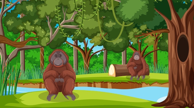 Orangotango em uma floresta ou cenário de floresta tropical com muitas árvores