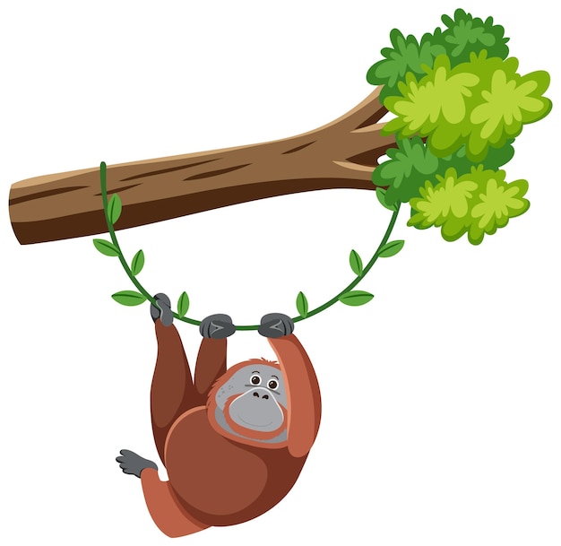 Orangotango pendurado na árvore