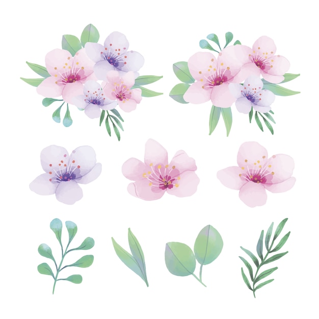 Ornamentos florais em aquarela com diferentes tipos de folhas