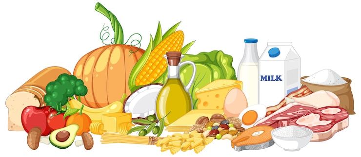 Vetor grátis os cinco grupos de alimentos isolados