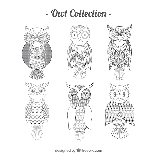 Outline owl pack of six