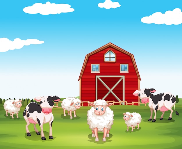 Ovelhas e vacas na fazenda