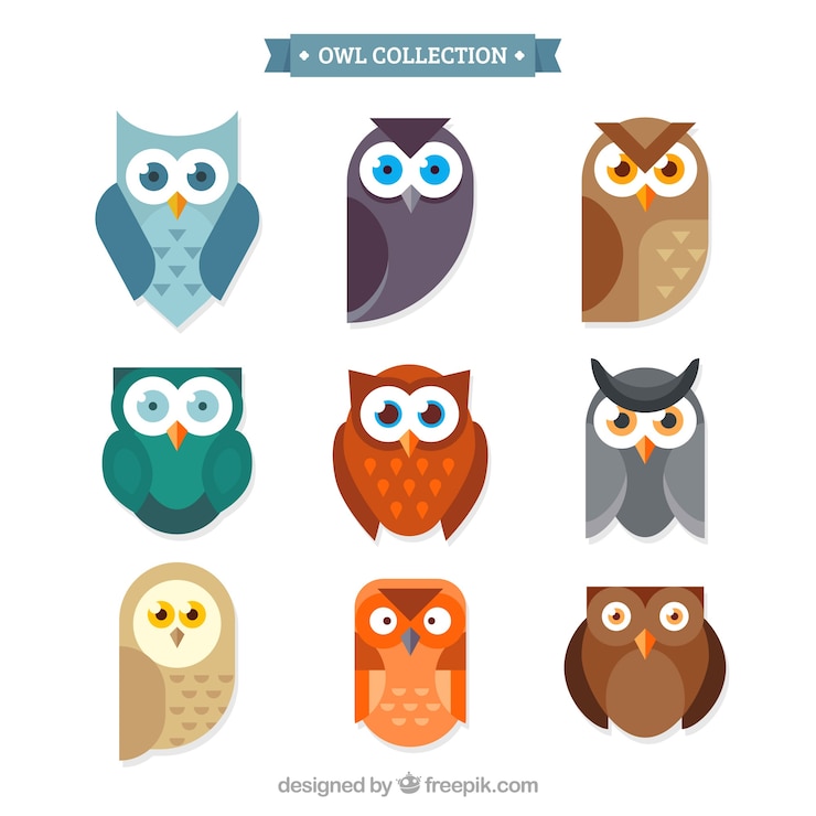 Vetor grátis owl pack of nine