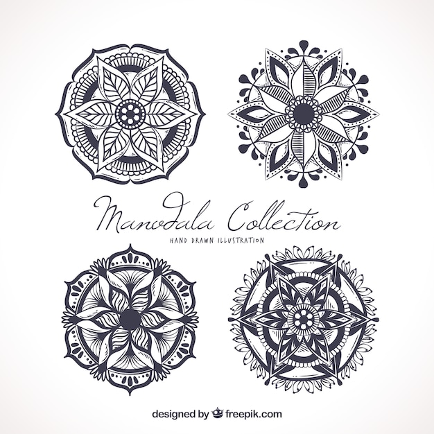 Pack de elegantes mandalas decorativas desenhadas à mão